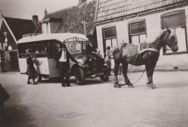 Paard voor een bus